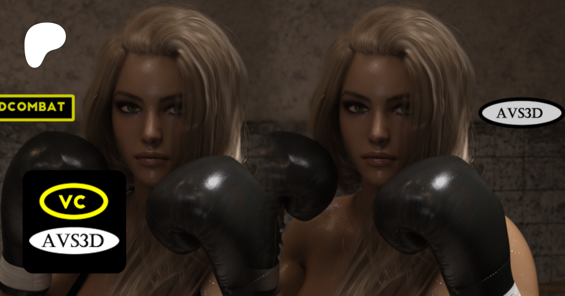 Get more from VariedCombat and AVS3D on Patreon 