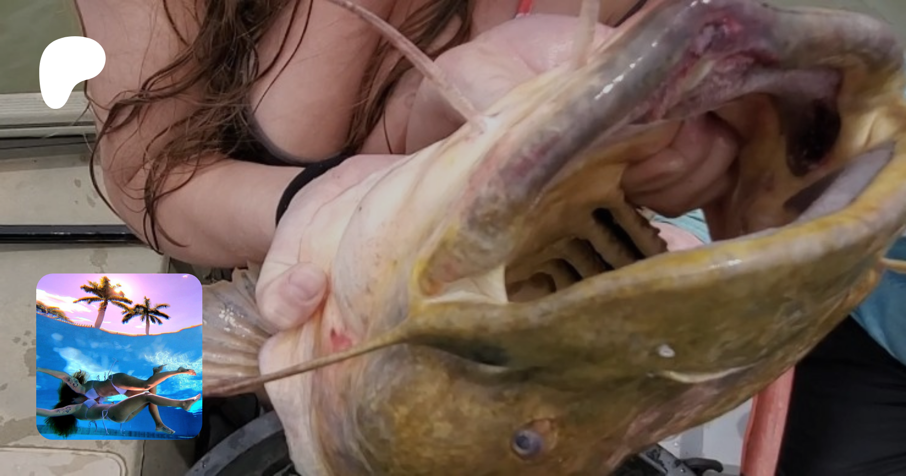 A teasing glimpse of what's to comeThe anticipation buildsHer silhouette against the light