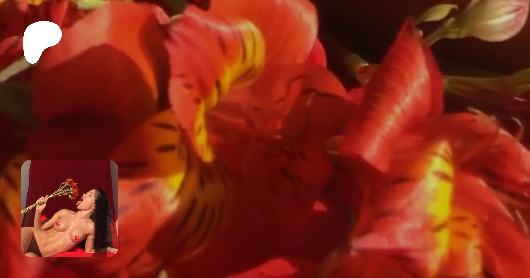 www.patreon.com