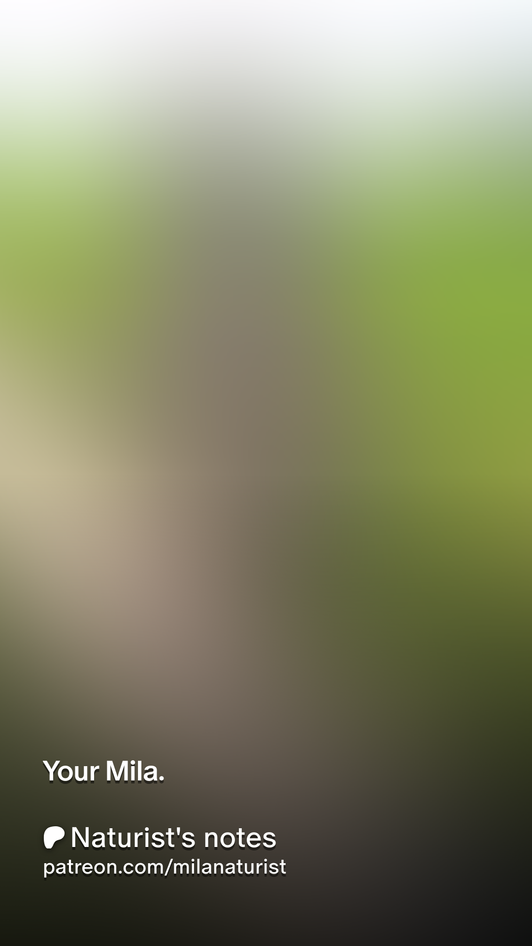 Your Mila. | Patreon