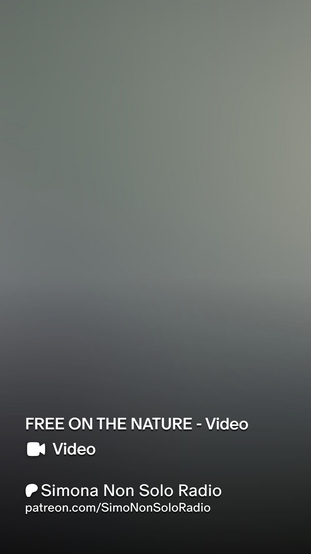 Simona s body a canvas