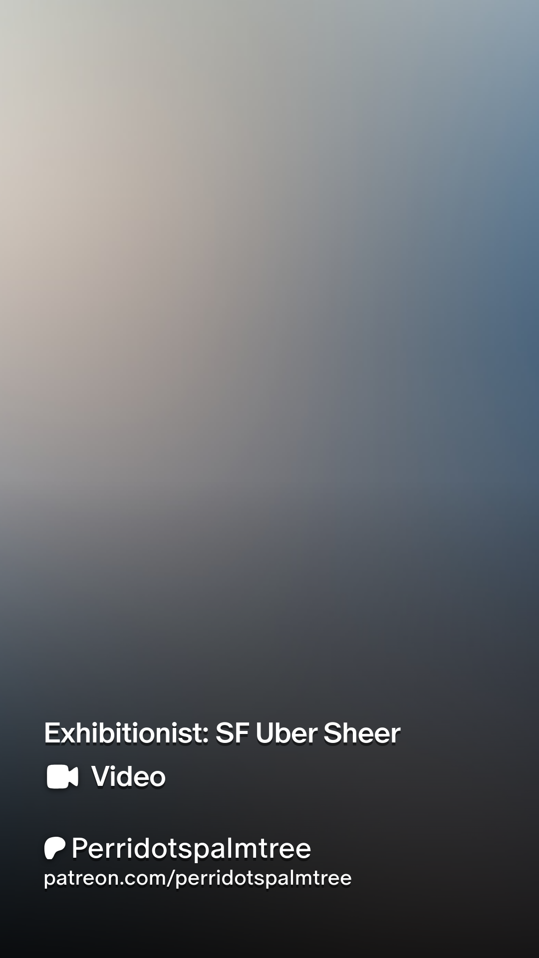 Exhibitionist: SF Uber Sheer | Patreon