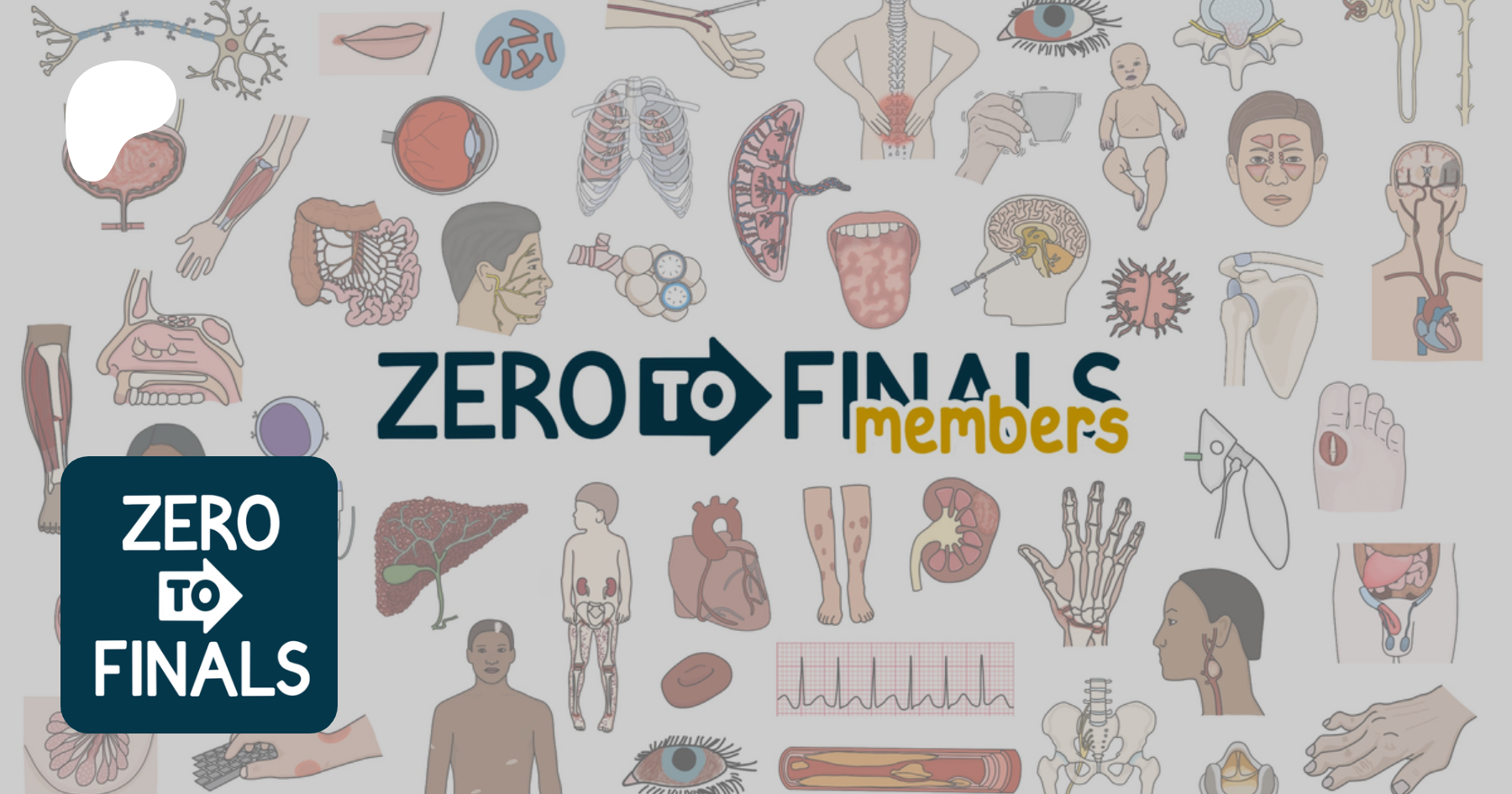 Zero To Finals 