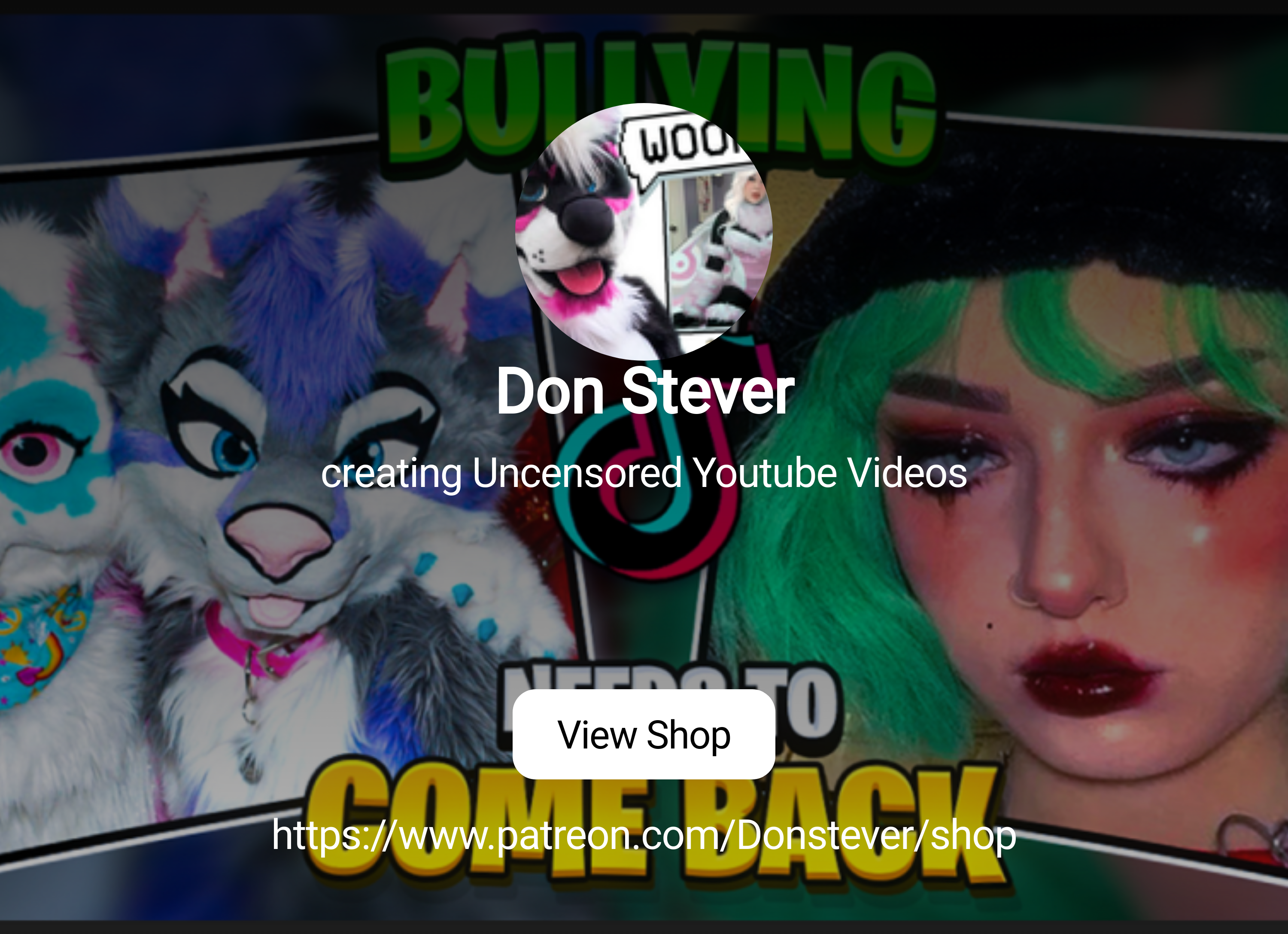 Don Stever | creating Uncensored Youtube Videos | Patreon