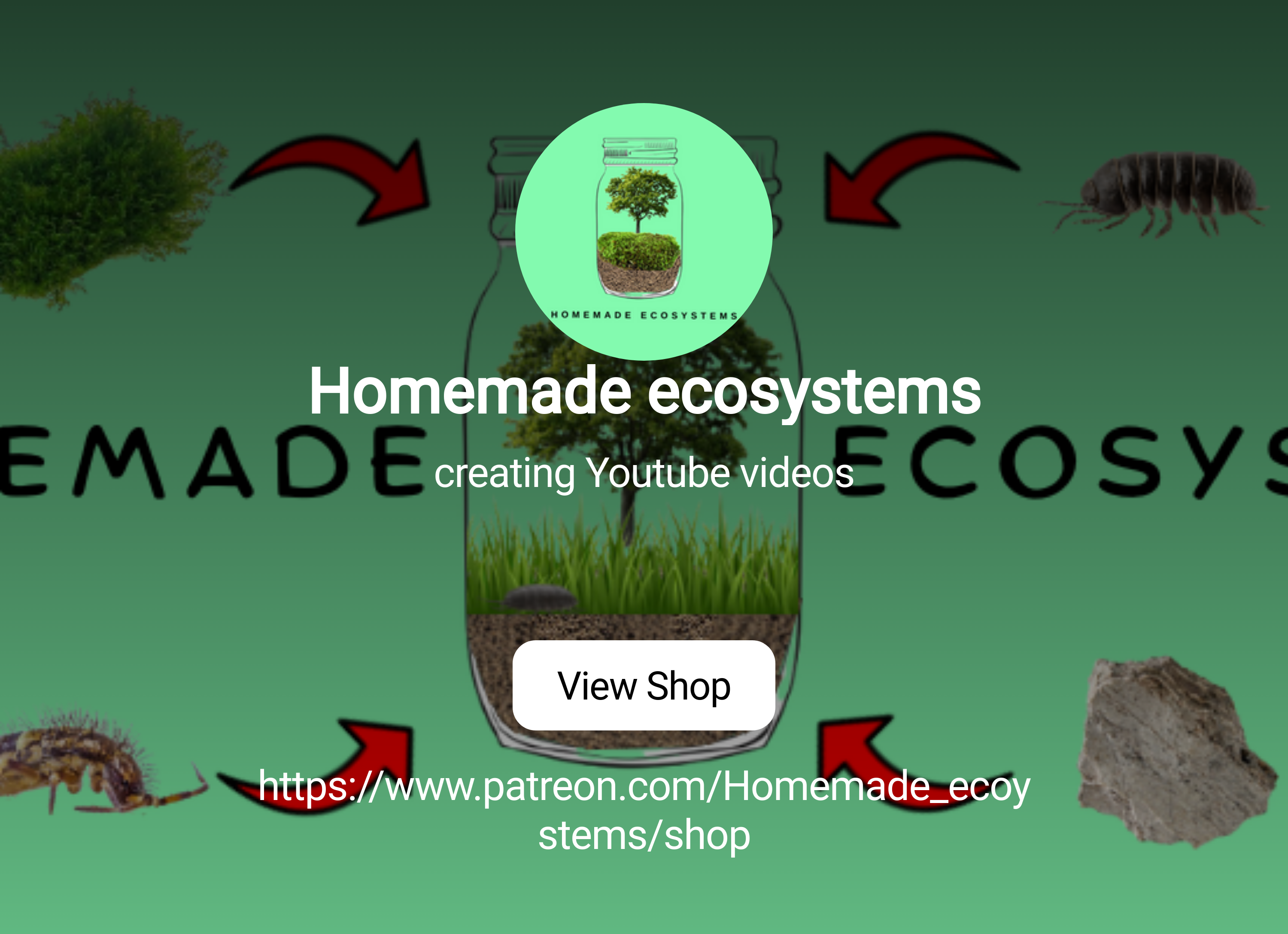 Homemade ecosystems | creating Youtube videos | Patreon