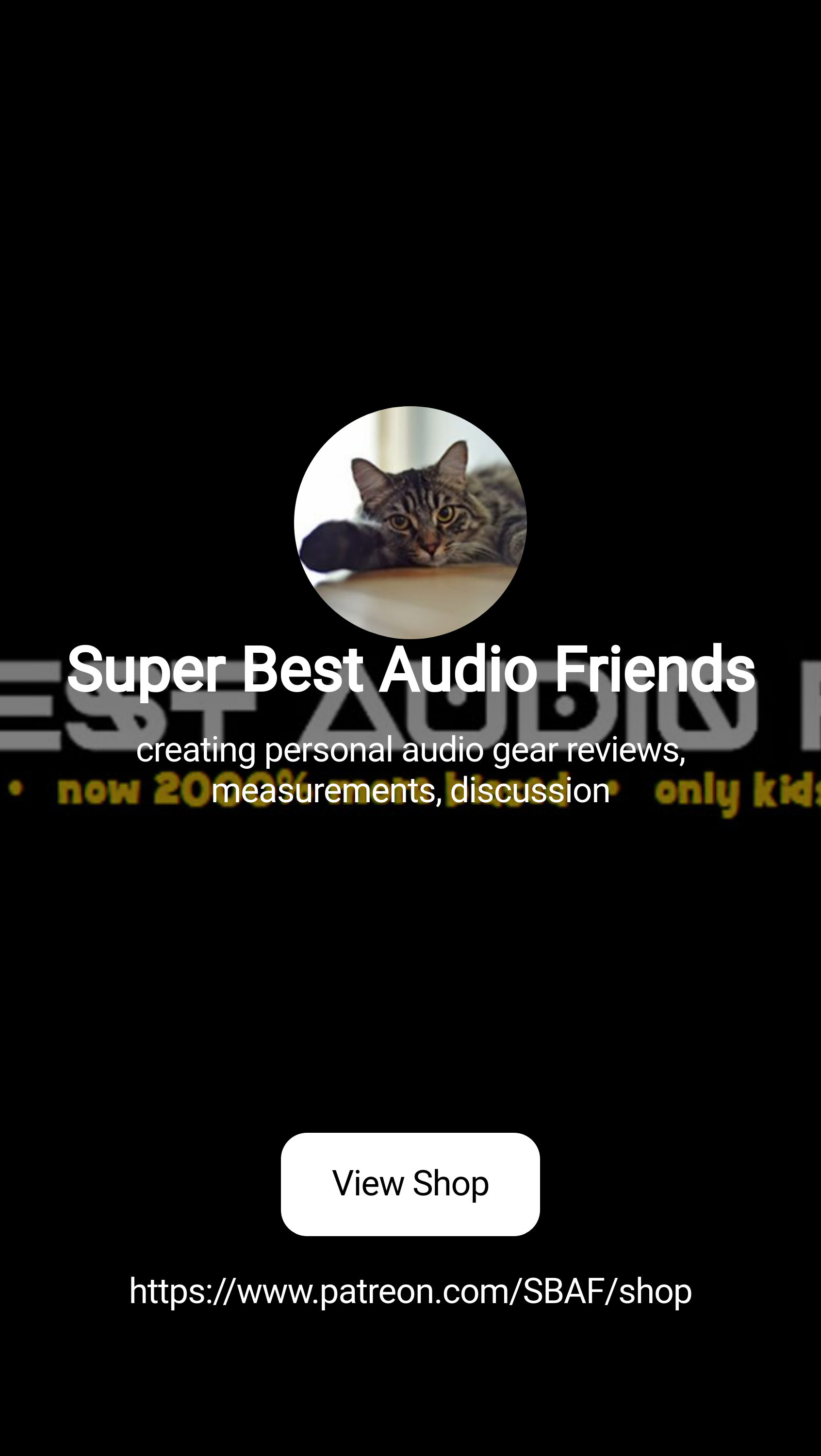 Super Best Audio Friends | creating personal audio gear reviews,  measurements, discussion | Patreon