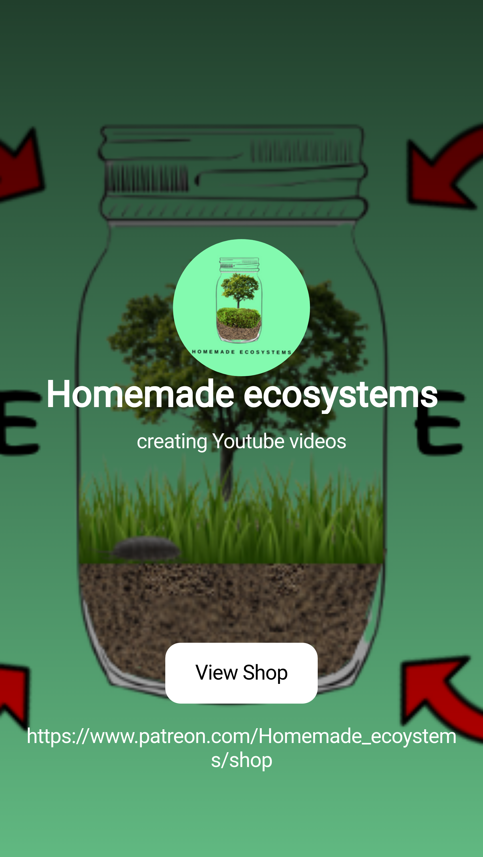 Homemade ecosystems | creating Youtube videos | Patreon