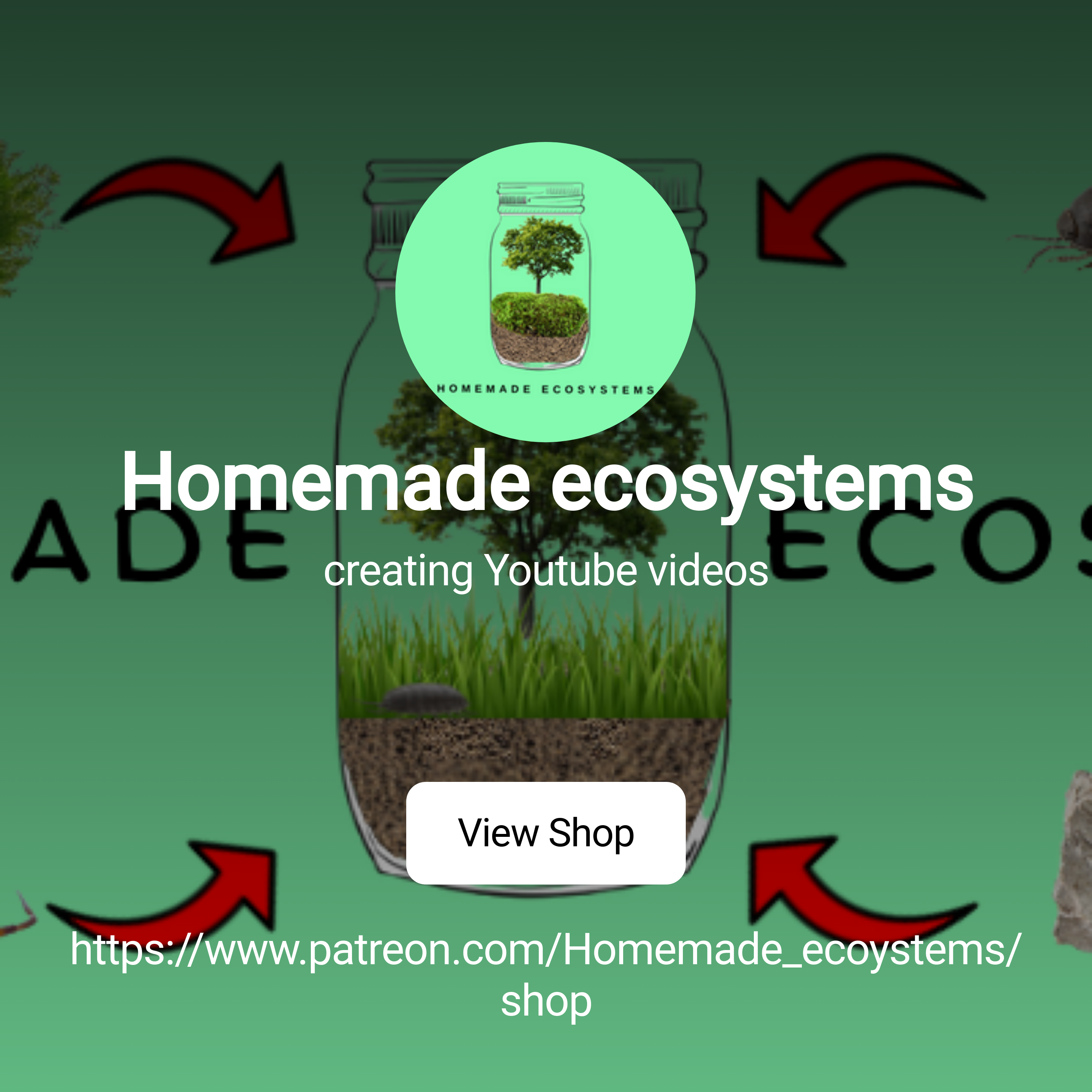 Homemade ecosystems | creating Youtube videos | Patreon