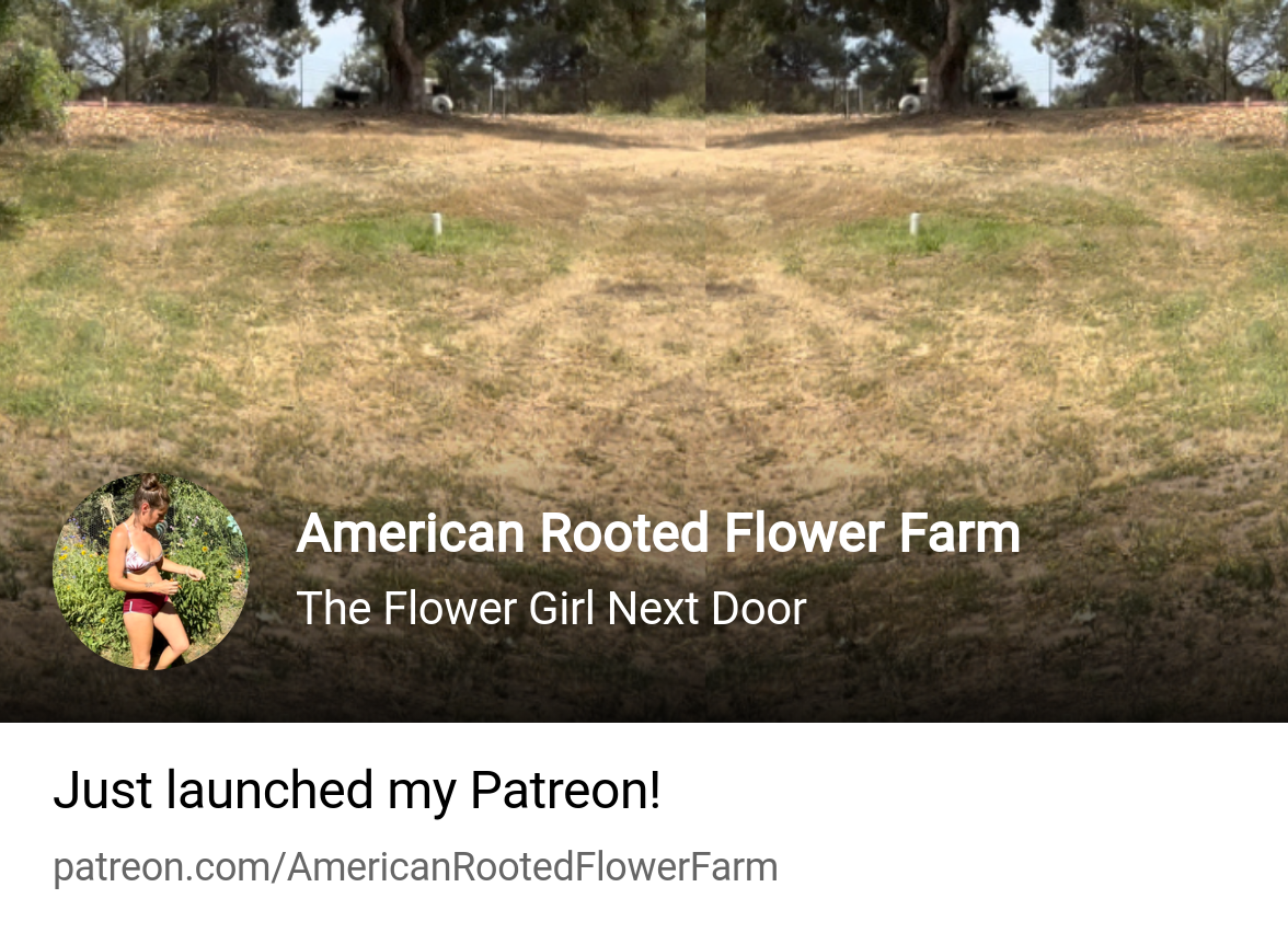 American Rooted Flower Farm | The Flower Girl Next Door | Patreon