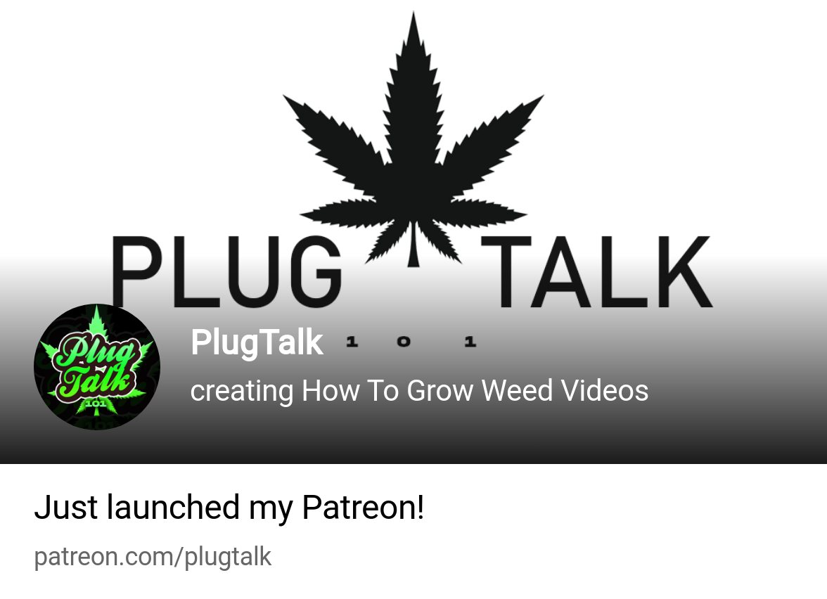 PlugTalk | creating How To Grow Weed Videos | Patreon