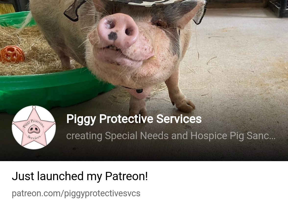 Piggy Protective Services