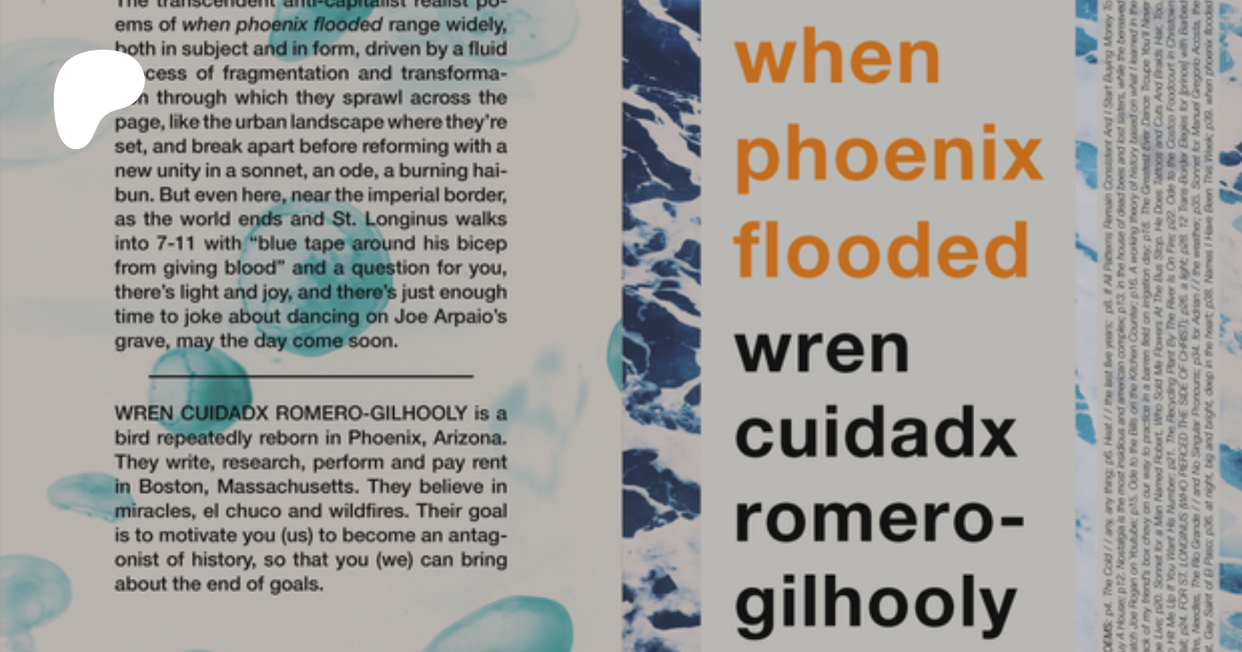 Did you have a Gilhoolie in your kitchen?