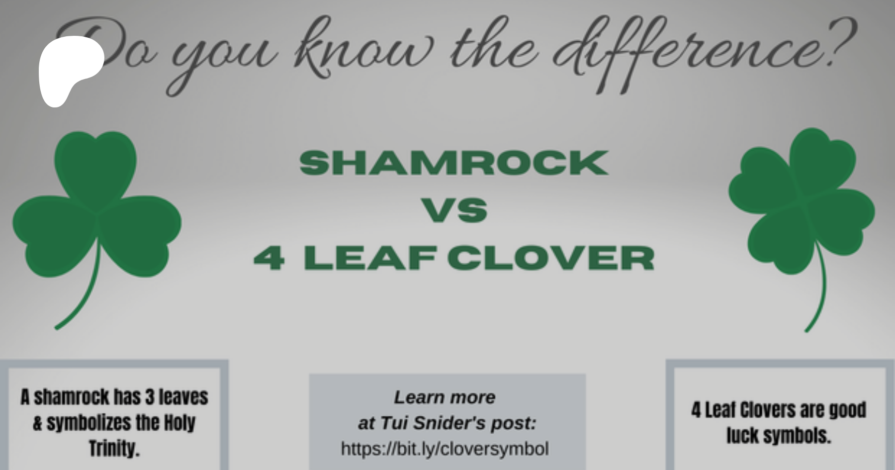 Shamrock vs. Four-Leaf Clover: Which One Is a Symbol of Luck?