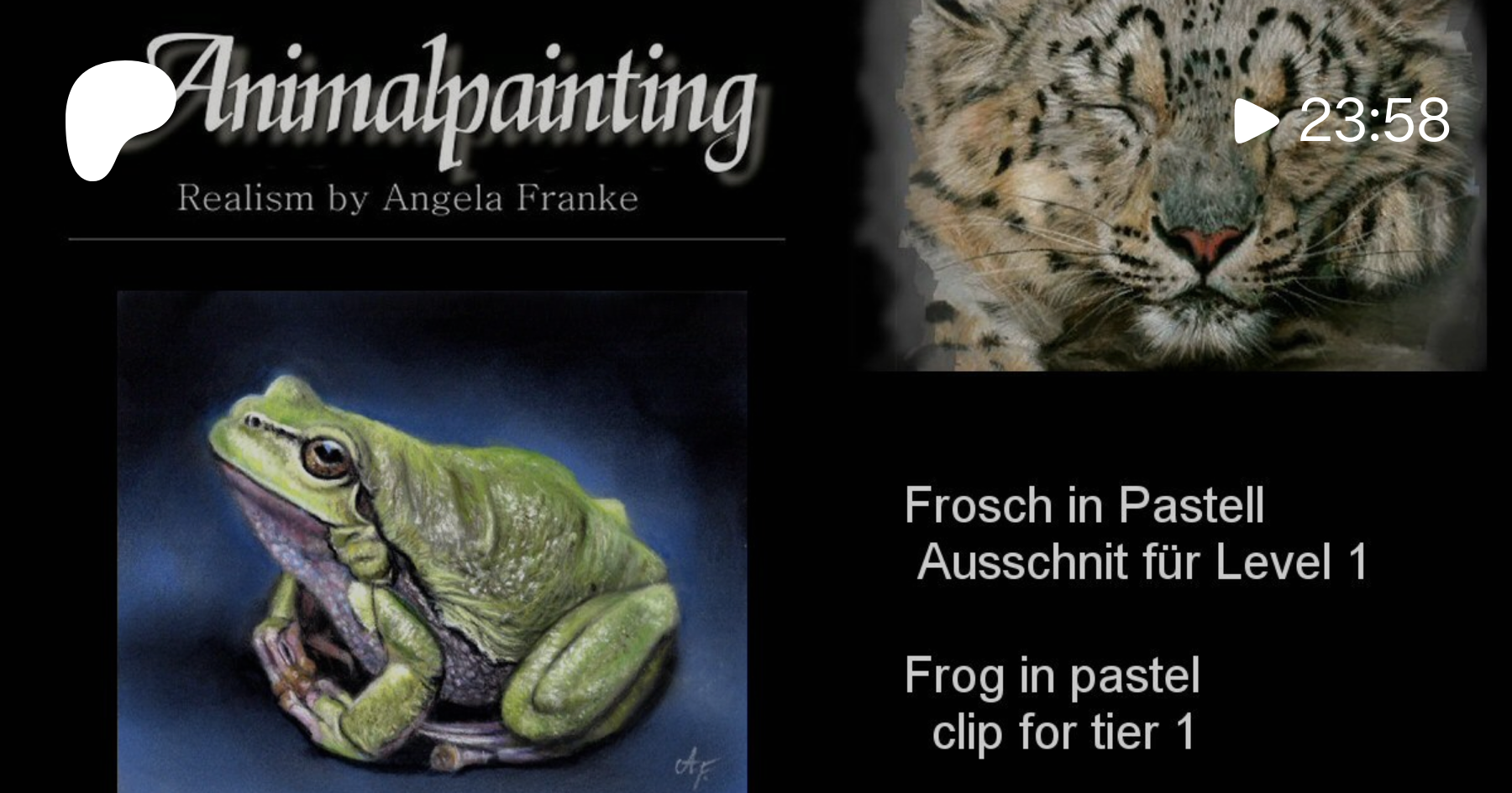 164) Frosch in Pastell Ausschnitt für Level 1- Frog in pastel Clip for tier  1