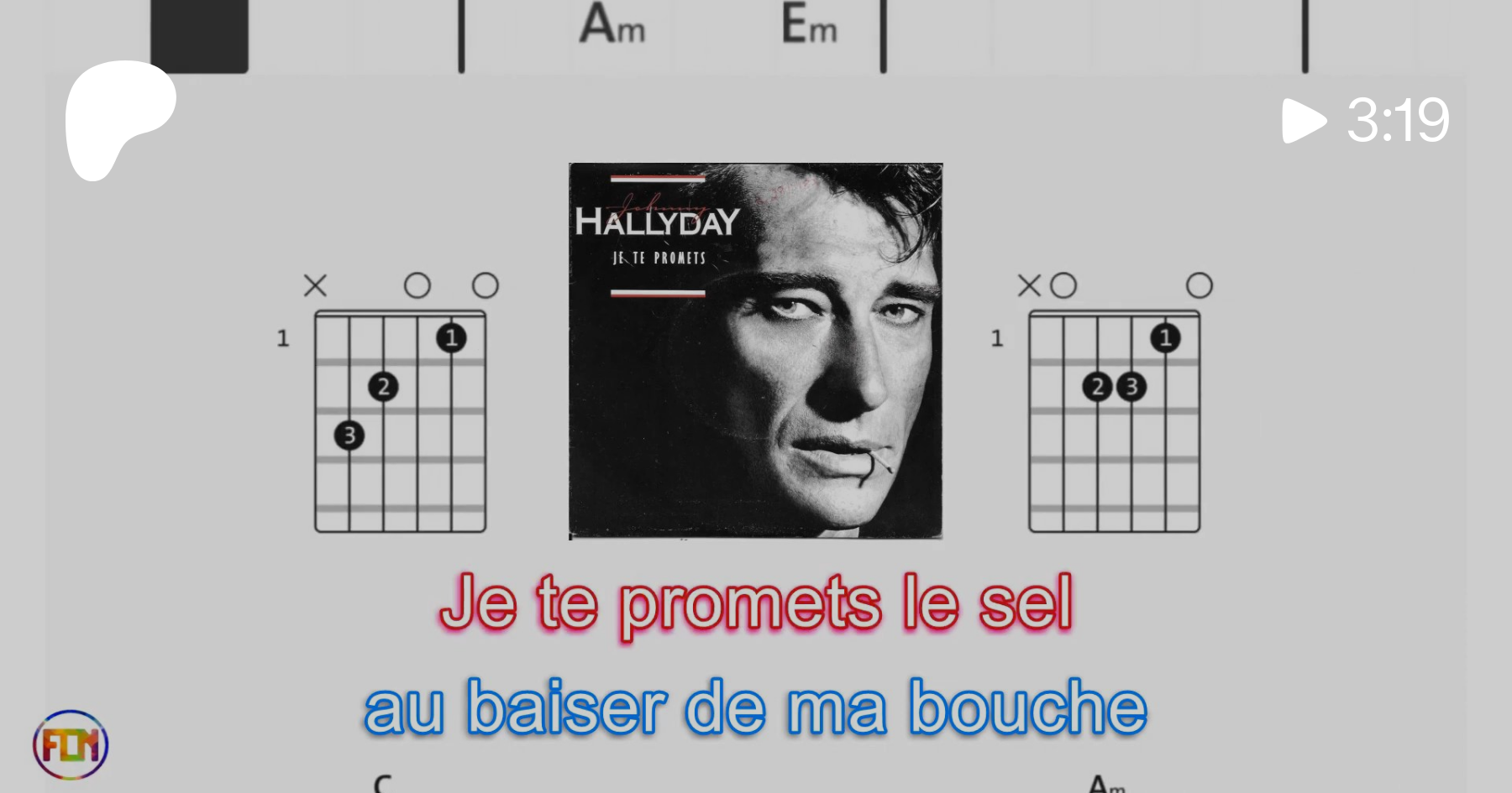 JOHNNY HALLYDAY Je te promets FCN GUITAR CHORDS & LYRICS | Patreon